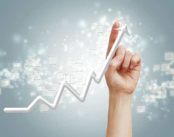 中国整木网 中国整木网