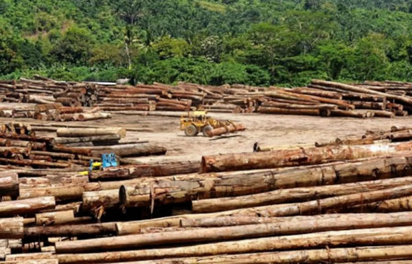 中国整木网 中国整木网