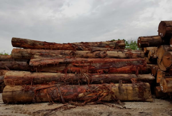 中国整木网 中国整木网